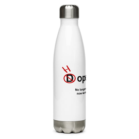 Stainless Steel Water Bottle